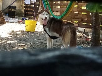 183182670 572087387105591 8563496465475006052 n