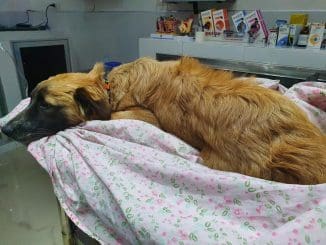 186826250 1752732651593909 5832026998796734516 n