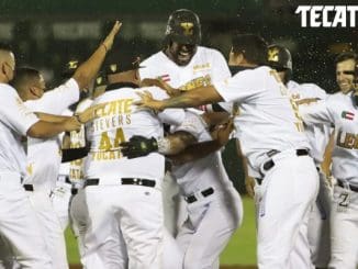 Pagina Web 19 620x400