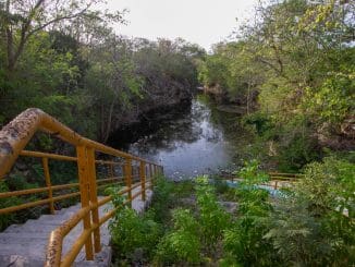 WhatsApp Image 2021 05 05 at 9.01.40 AM