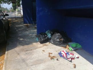 WhatsApp Image 2021 05 07 at 9.16.56 AM