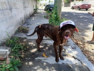 WhatsApp Image 2021 05 12 at 10.24.00 AM