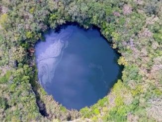 WhatsApp Image 2021 05 12 at 11.58.58 AM