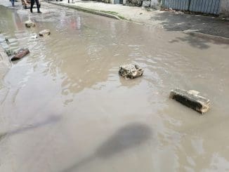 WhatsApp Image 2021 05 22 at 12.14.24 PM