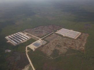 WhatsApp Image 2021 05 29 at 8.09.05 AM