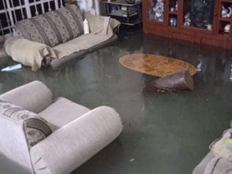 201582600 863064277616080 966494176770176 n