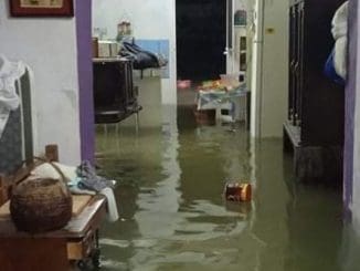 202238657 530209805003477 1247317350460359910 n