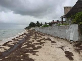 WhatsApp Image 2021 06 13 at 9.41.03 PM