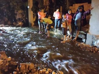 217710988 4134536086581943 2790110436394405442 n