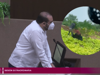 Captura de pantalla 2021 07 23 a la(s) 12.41.29