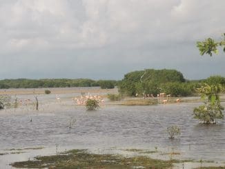 WhatsApp Image 2021 06 26 at 8.45.20 PM