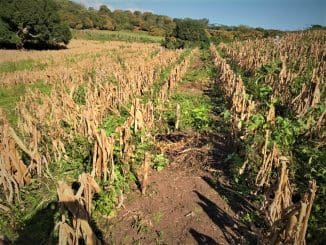 WhatsApp Image 2021 07 02 at 4.41.02 PM