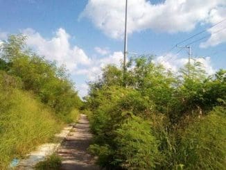 WhatsApp Image 2021 07 11 at 9.06.27 AM