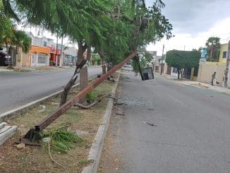 WhatsApp Image 2021 07 12 at 4.29.09 PM