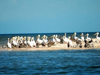 WhatsApp Image 2021 07 20 at 5.46.15 AM