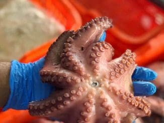 WhatsApp Image 2021 07 22 at 7.53.59 AM