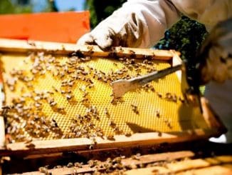 WhatsApp Image 2021 07 23 at 11.23.36 AM