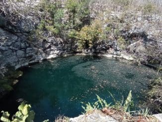 WhatsApp Image 2021 07 23 at 8.03.04 AM