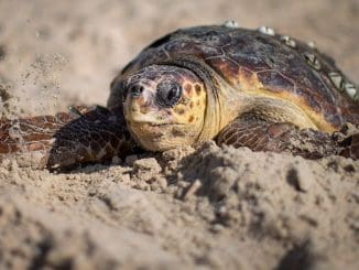 WhatsApp Image 2021 07 29 at 5.53.33 AM