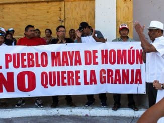 Clausrua granja porcicola 1068x534