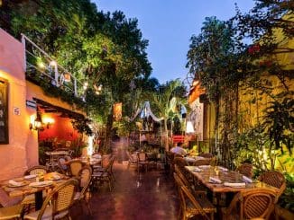 Dine under the stars