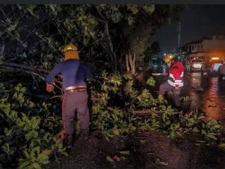 237253706 387625216126682 5856726651513619672 n