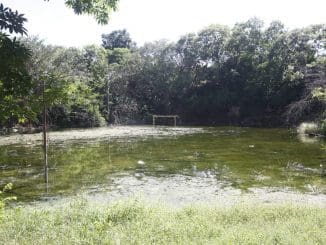 WhatsApp Image 2021 08 09 at 11.55.58 AM