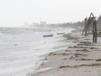 WhatsApp Image 2021 08 19 at 11.40.36 AM