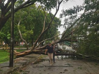 WhatsApp Image 2021 08 19 at 7.27.10 PM