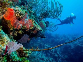 WhatsApp Image 2021 08 22 at 11.01.52 AM