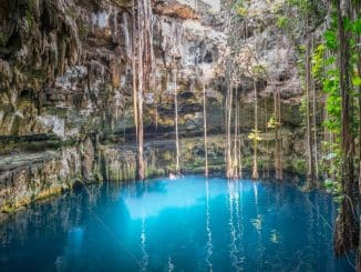 WhatsApp Image 2021 08 22 at 6.17.39 PM