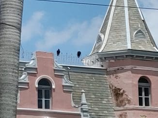 WhatsApp Image 2021 08 23 at 1.24.43 PM