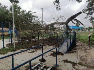 WhatsApp Image 2021 08 26 at 12.24.40 PM