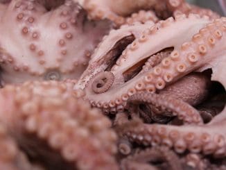 WhatsApp Image 2021 08 27 at 1.34.26 PM