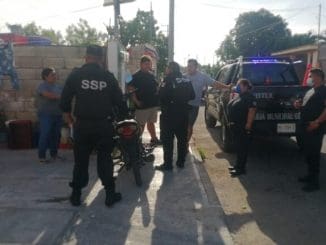 Molotov motul3 scaled