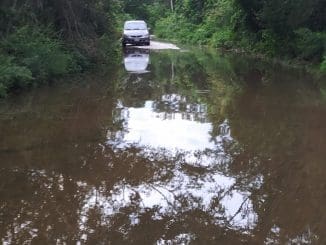 241449722 4617736654923353 212926234507329992 n