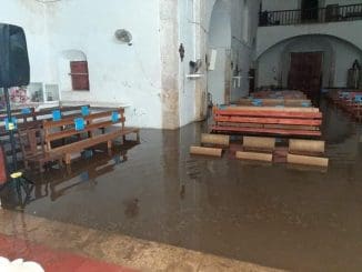 241754430 4344195982332579 1543646316969560587 n