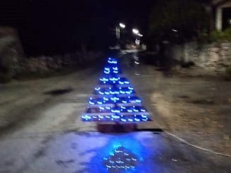 DIDZANTÚN BACHE ÁRBOL (1)