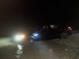 PROGRESO AUTO MAR (1)