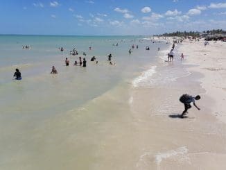 WhatsApp Image 2021 03 14 at 3.20.50 PM