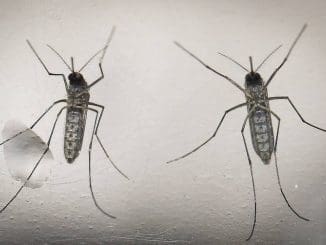 WhatsApp Image 2021 08 25 at 7.43.32 AM