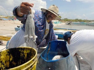 WhatsApp Image 2021 09 06 at 9.50.56 AM