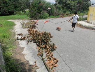 WhatsApp Image 2021 09 13 at 2.51.09 PM