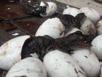 WhatsApp Image 2021 09 19 at 1.35.35 PM