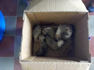 WhatsApp Image 2021 09 22 at 12.16.35 PM