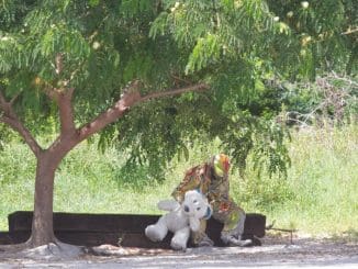 WhatsApp Image 2021 09 22 at 3.22.53 PM