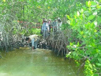 Dia tierra mongabay ocote1