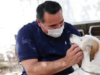 242431040 10158456176403861 975721528893766993 n