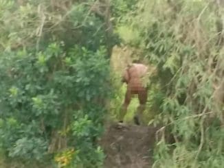 243200495 4704096426340977 1957113685802297576 n