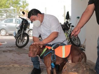 245075225 763373144501990 1837805908762901152 n